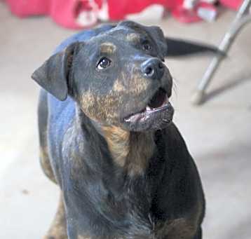 Photo of Arthur