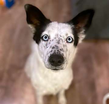 Photo of Dorothy