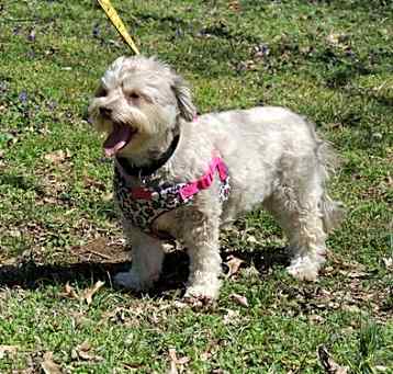 Photo of REECIE