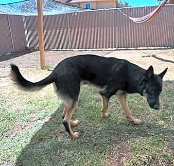 Photo of Yogi Bear