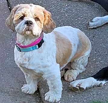 Photo of Elsie