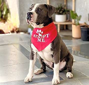 Photo of Que