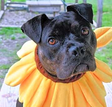 Photo of Ella