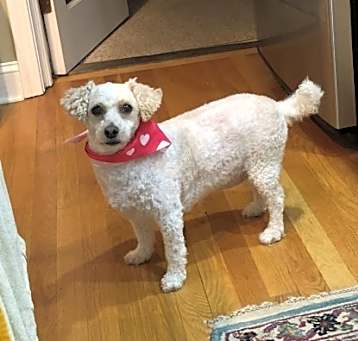 Photo of Daisey