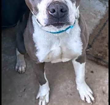 Photo of Tia