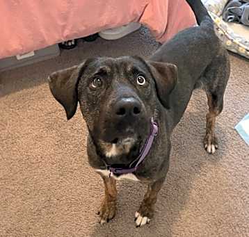 Photo of Luna