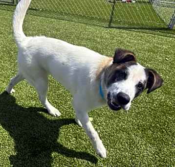 Photo of Dug