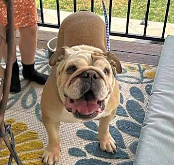 Photo of Sally