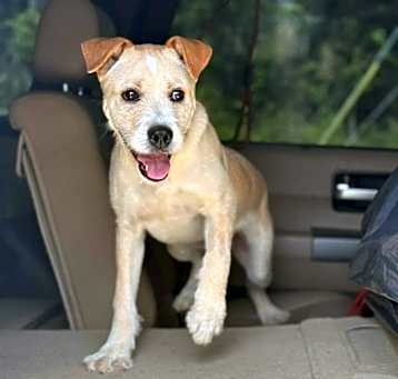 Photo of Waldo