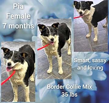 Photo of Pia