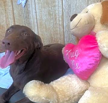 Photo of Hershey