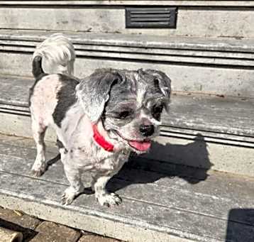 Photo of Millee
