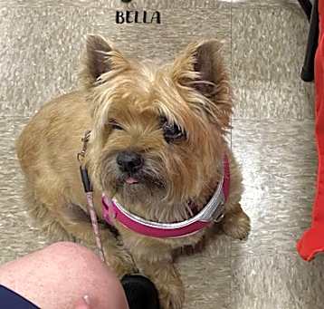 Photo of Bella #28