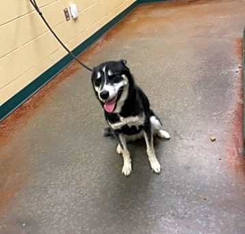 Photo of Pearl