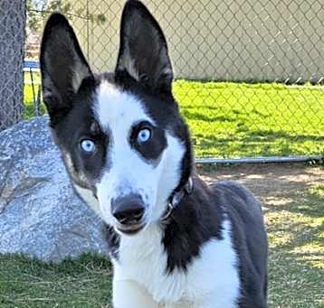 Photo of Diego