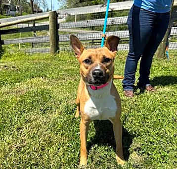 Photo of Tinkerbell