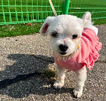 Photo of Winny