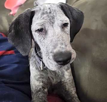 Photo of Jasper
