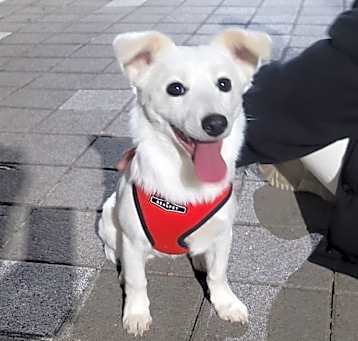 Photo of Goeul