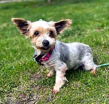 Photo of Susie