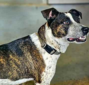 Photo of Tinkerbelle