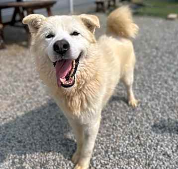 Photo of Cloud