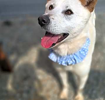 Photo of Molly