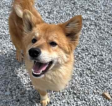 Photo of Borong
