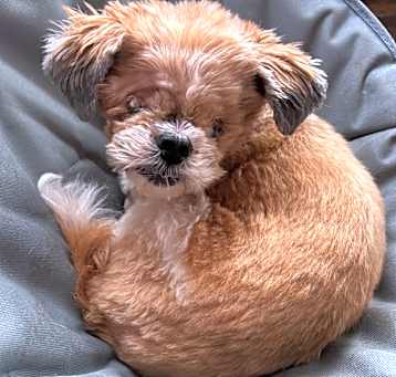 Photo of Ari (PA) SWEET girl!