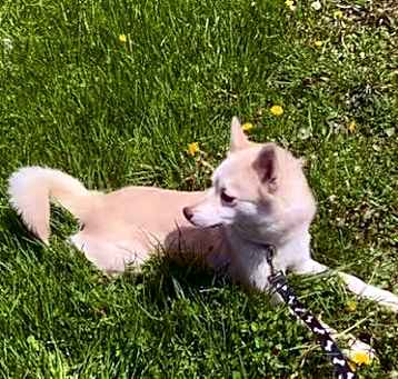 Photo of Ella