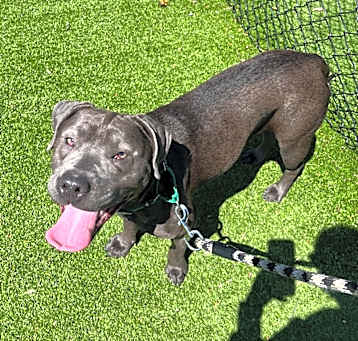 Photo of Bella Mae