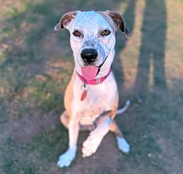 Photo of Leia