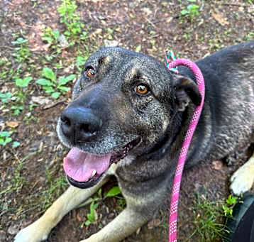 Photo of Zeus