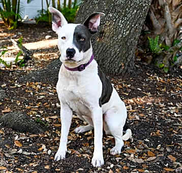 Photo of Mitzi