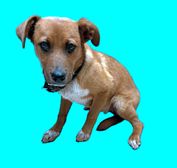 Photo of Brianna