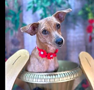Photo of Chloe