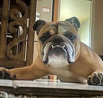 Photo of Khloe