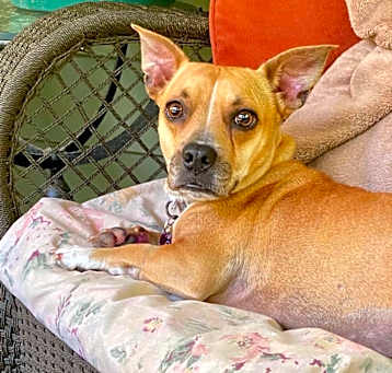 Photo of Calypso