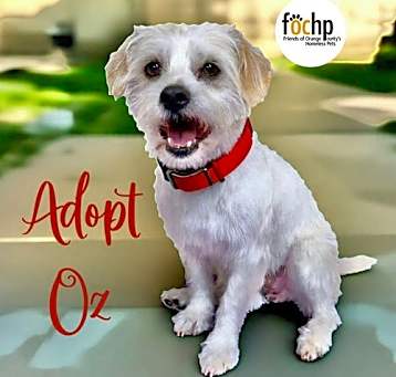 Photo of Oz