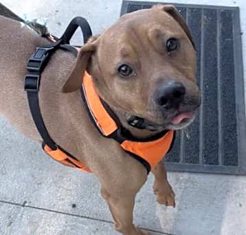 Photo of Waylon