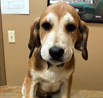 Photo of Patch ~ meet me!