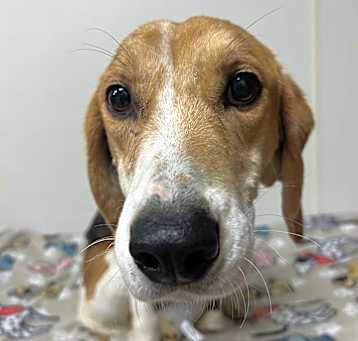 Photo of Darla