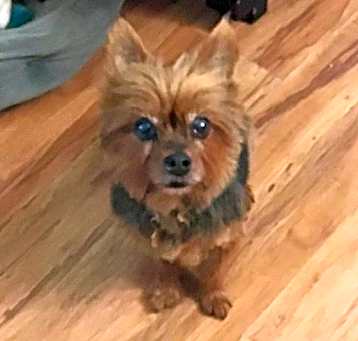 Photo of Max