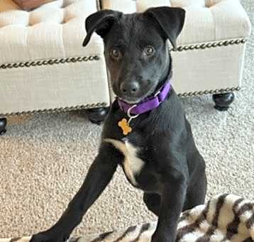 Photo of Aria