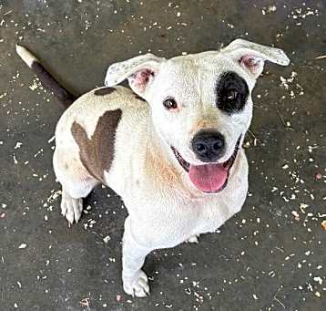 Photo of Lola
