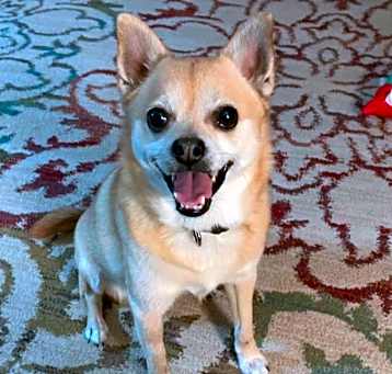 Photo of BoBo