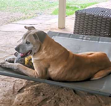 Photo of Hope Sundae