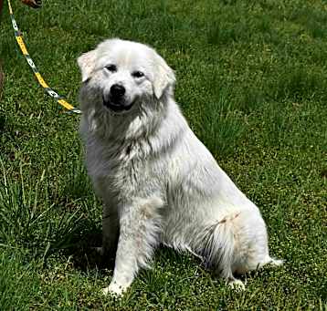 Photo of Layla
