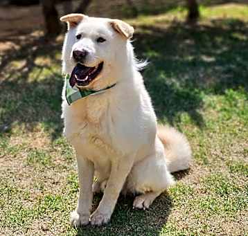 Photo of Jake