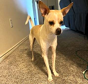 Photo of Zeus